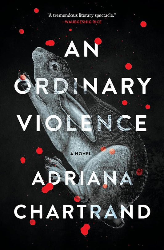 An Ordinary Violence: A Novel cover image