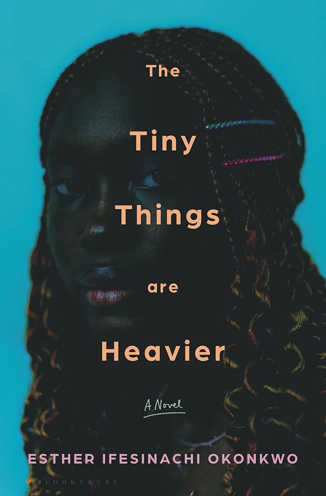 The Tiny Things are Heavier cover image